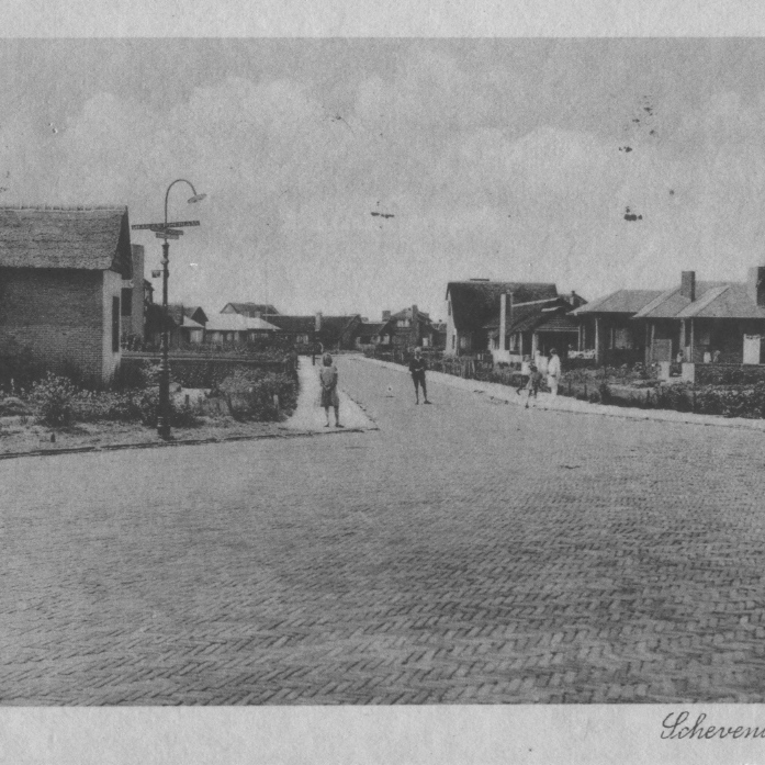 landhuis leigedekt - Scheveningschelaan 151