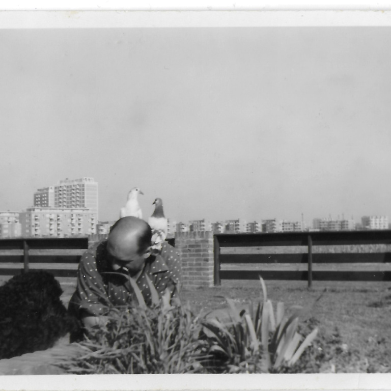 Scheveningselaan 105 - Albert Hirsch - 1960