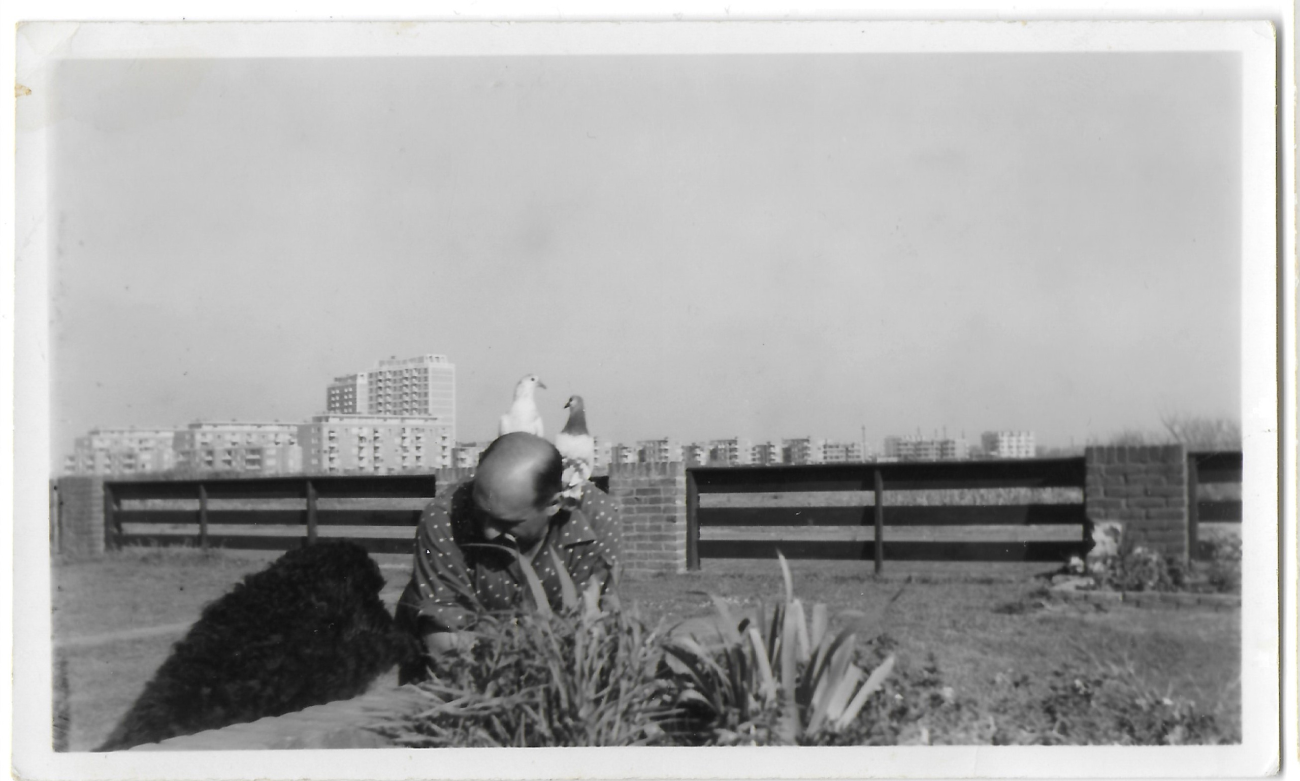 Scheveningselaan 105 - Albert Hirsch - 1960